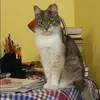 Отзыв от Арина Туманова